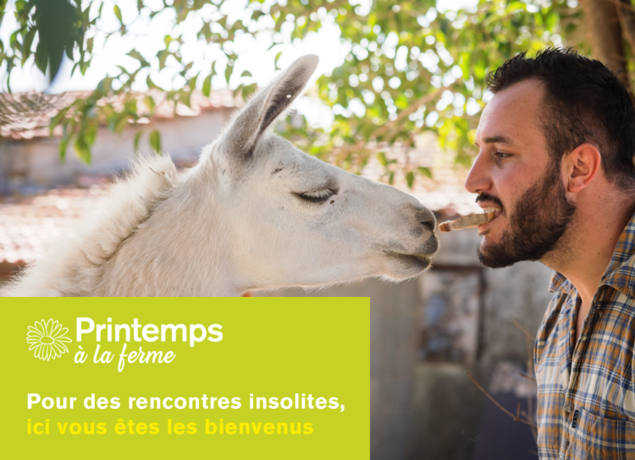 Printemps à la ferme